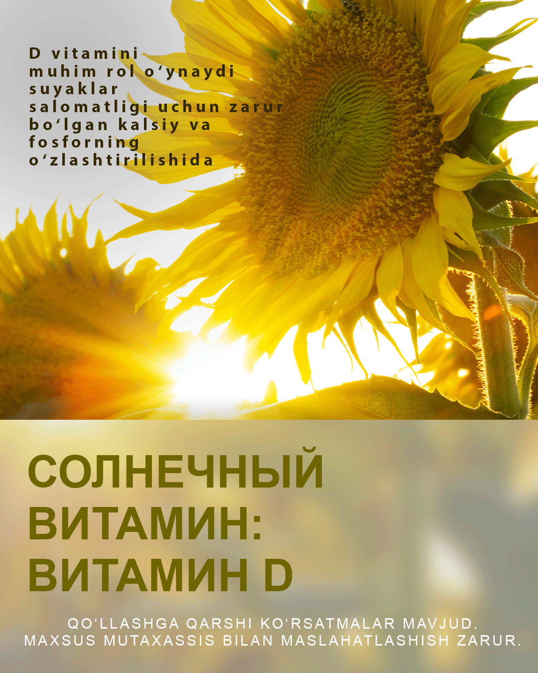 Солнечный витамин: витамин D